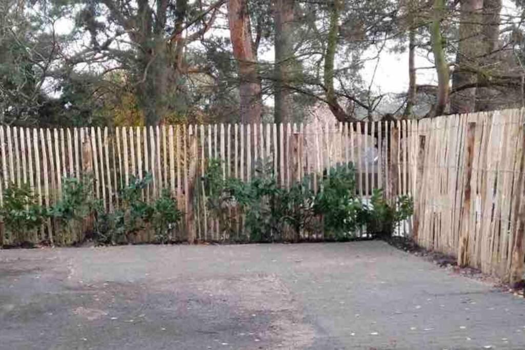 Ferienwohnung Green Garden Berlijn Buitenkant foto